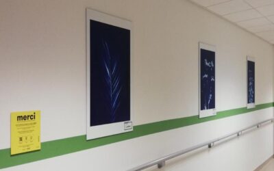 Faisons entrer l&rsquo;art à l&rsquo;hopital